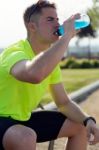 Handsome Young Man Drinking After Running Stock Photo