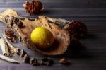 Rustic Lemon Stock Photo