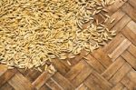 Paddy On Bamboo Mat Stock Photo