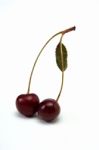 Cherry Stock Photo