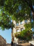 Cafe And Tree Near Porte Cailhau (palace Gate) In Bordeaux Stock Photo