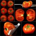 Tomatoes Collage Stock Photo