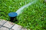 Sprinkler On Yard Stock Photo