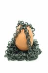 Egg And Chain Stock Photo