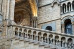 Staircase At The Natural History Museum In London Stock Photo