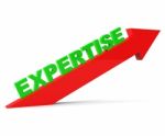 Increase Expertise Indicates Skills Progress And Advance Stock Photo