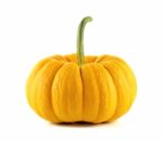 Pumpkin Isolated On The White Background Stock Photo