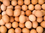 Egg Background Stock Photo