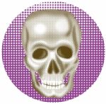 Skull Stock Photo