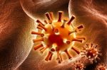 Herpes Virus Stock Photo