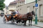 Horses And Carriage In Weimar Stock Photo