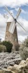 Callington Mill, Oatlands, Tasmania, Australia Stock Photo