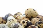 Quail eggs Stock Photo