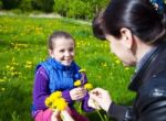 Mother Weaves A Wreath Of Dandelions Stock Photo