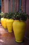 Yellow Pots Stock Photo