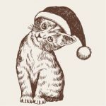 Little Cat, Kitten With Christmas Santa Hat Stock Photo