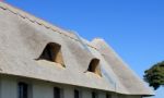 Thatched Roof Stock Photo