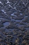 Low Tide Scenario At Dawn Stock Photo