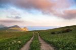 Spring Meadow In The Hills. Sea On The Background Stock Photo