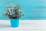 Artificial Plant With Wood Wall Background Stock Photo