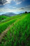 Beautiful Scenery Of Rice Terraces And Mountain Stock Photo