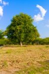 Landscape In Botswana Stock Photo