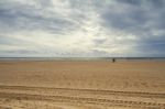 Flock Of Seagulls On A Deserted Beach Stock Photo