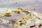 Mammoth Hot Springs Stock Photo