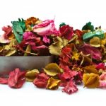 Potpourri multicolored Stock Photo