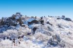 Deogyusan,korea - January 23: Tourists Taking Photos Of The Beautiful Scenery Around Deogyusan,south Korea On January 23, 2015 Stock Photo