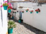 Estepona, Andalucia/spain - May 5 : Flowers In A Street  In Este Stock Photo