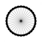 Bicycle Wheel Stock Photo