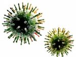 Influenza Virus Stock Photo