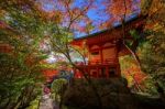 Colorful Tree Leaves Around Daigoji Temple,  Kyoto Stock Photo