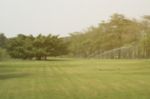 Blurred Image Of Green Park Scenery Stock Photo