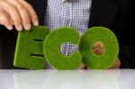 Eco Alphabet Concept Stock Photo