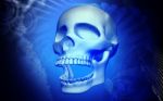 Skull Stock Photo