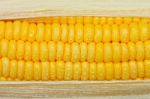 Sweet Corn Stock Photo