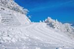 Empty Road And Trees Covered With Snow In Winter Stock Photo