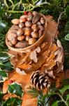 Christmas Nuts Stock Photo