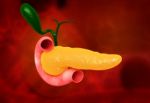 Pancreas Stock Photo