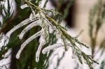 Big Icicles Stock Photo