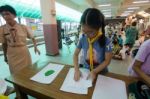 Student 9-10 Years Old, Scouts Work Together, Scout Camp In Pieamsuwan School Bangkok Thailand Stock Photo