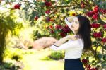 Young Beautiful Woman With Long Straight Dark Hair Posing In Spr Stock Photo