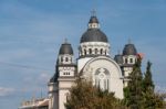 Targu Mures, Transylvania/romania - September 17 : Ascension Cat Stock Photo