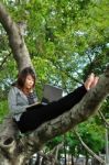 Lady Sitting On Tree With Laptop Stock Photo