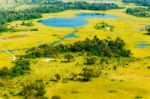 Okavango Delta Aerial View Stock Photo