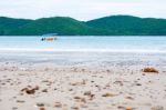 Beach Stones Background  Stock Photo