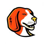 Beagle Hound Dog Mascot Stock Photo