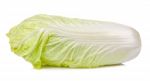 Chinese Cabbage Isolated On White Background Stock Photo